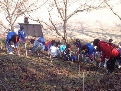 2007「出雲ふるさとの森」植樹祭