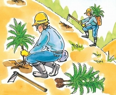 植え付け